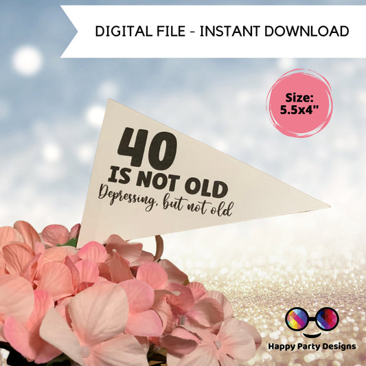 Printable 40 is not old, depressing but not old pennant flags | 40th birthday | 40th birthday party
